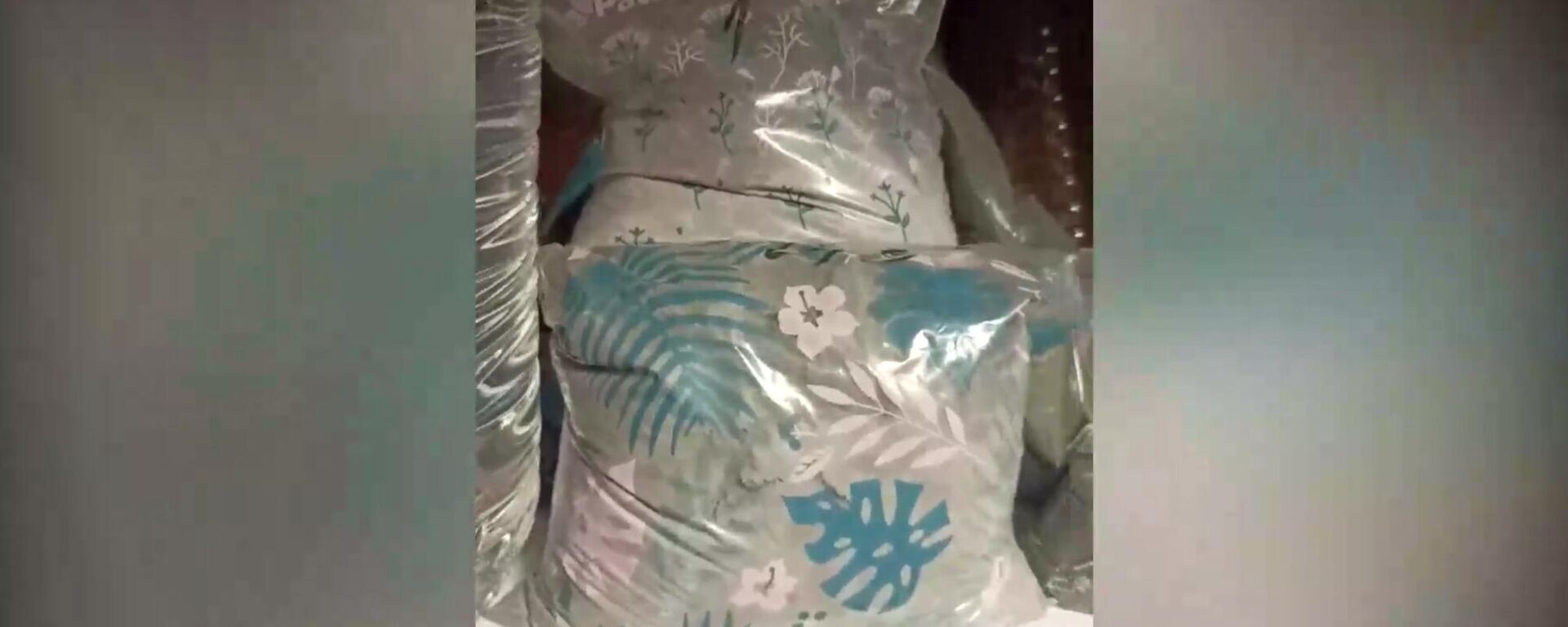 Кадры задержания россиянина, планировавшего теракт на железнодорожном мосту в Пермском крае - Sputnik Литва, 1920, 12.01.2026