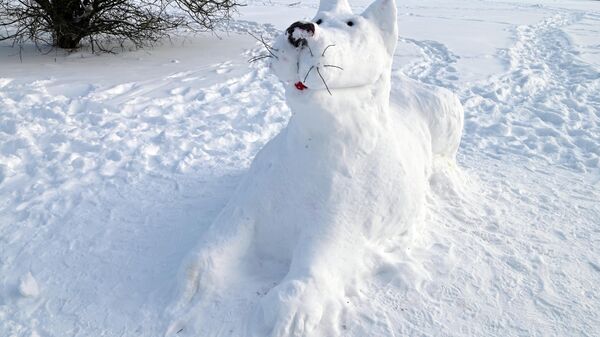 Вильнюс после снегопада - Sputnik Литва