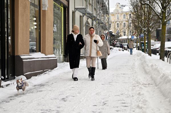 И те, кто соскучился по настоящей зиме, поспешили на прогулку по окутанному снегом Вильнюсу. - Sputnik Литва