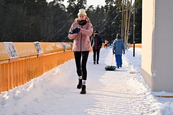Поскольку мороз усилился, выйдя на прогулку, можно было услышать скрип снега и полюбоваться великолепными видами. - Sputnik Литва