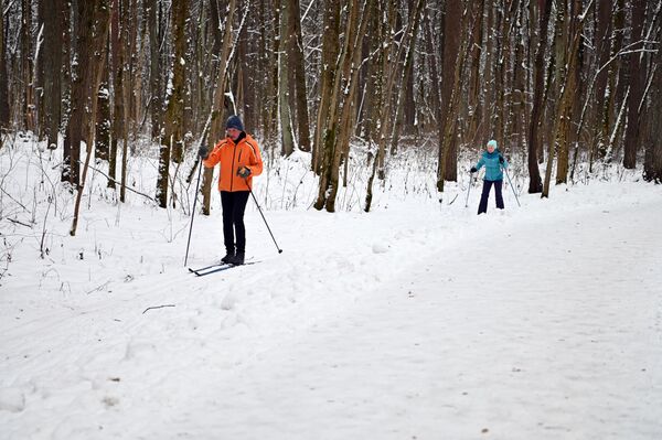 На фото: лыжники в парке Вингис в Вильнюсе. - Sputnik Литва