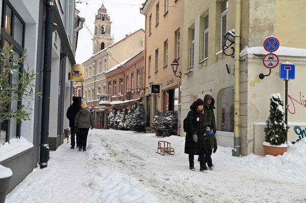 Также жителей Литвы призывают проявлять сочувствие и, заметив бездомное животное, замерзающее на улице, предоставить ему временное убежище, пока не будет найден его владелец или пока его не примет приют. - Sputnik Литва