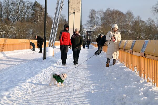 Однако в воскресенье метель утихла и выглянуло солнце. - Sputnik Литва
