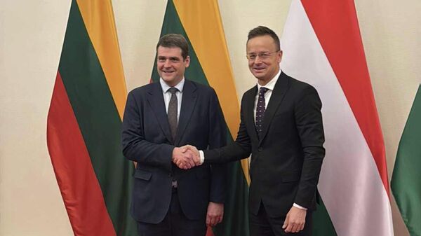 Лидер партии Заря Нямунаса Ремигиюс Жемайтайтис и глава МИД Венгрии Петер Сийярто  - Sputnik Литва