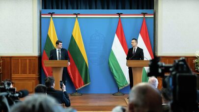 Лидер партии "Заря Нямунаса" Ремигиюс Жемайтайтис и глава МИД Венгрии Петер Сийярто