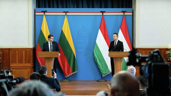 Лидер партии Заря Нямунаса Ремигиюс Жемайтайтис и глава МИД Венгрии Петер Сийярто - Sputnik Литва
