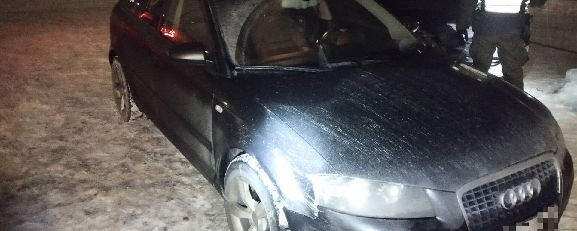 Нелегальные мигранты в Литве - Sputnik Литва, 1920, 01.02.2026