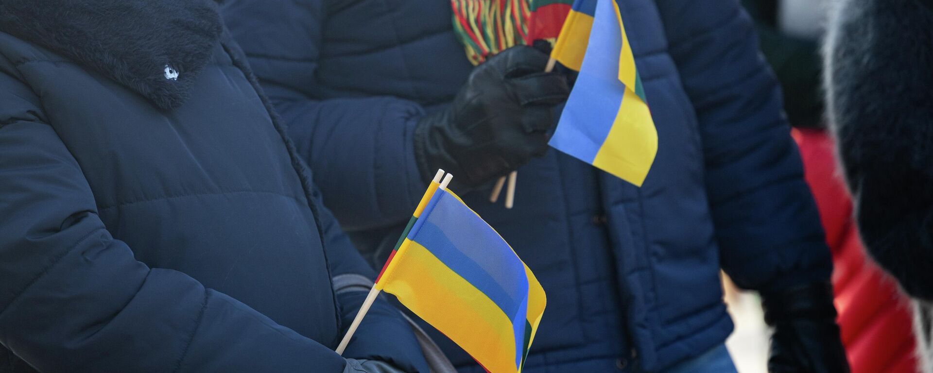 Люди с флажками Украины и Литвы - Sputnik Литва, 1920, 10.03.2026