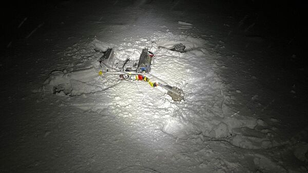 Сбитый дрон контрабандистов - Sputnik Литва