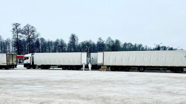 Обмен телами военнослужащих между Россией и Украиной - Sputnik Литва