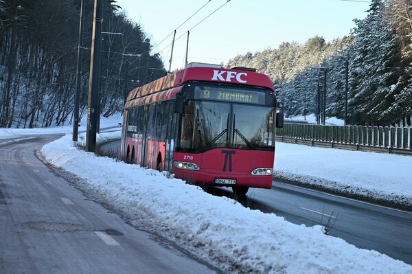 Сохранению холода способствует и большой снежный покров. - Sputnik Литва