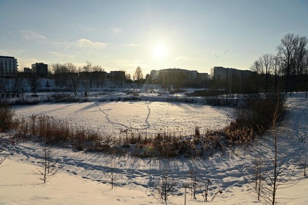 Прогнозируется, что температура воздуха в феврале будет ниже многолетнего среднего значения. - Sputnik Литва