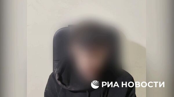 ФСБ задержала иностранца, который должен был устроить теракты на объектах энергетики. - Sputnik Литва