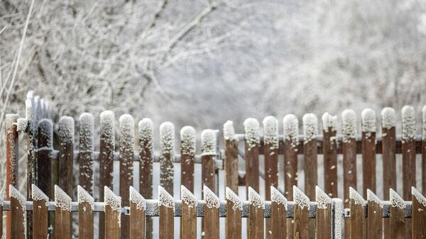 Заснеженный забор  - Sputnik Литва