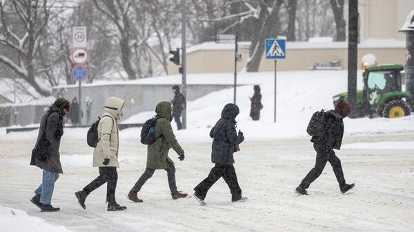 Прохожие в Вильнюсе зимой - Sputnik Литва