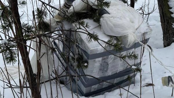 Контрабанда сигарет в Литве - Sputnik Литва