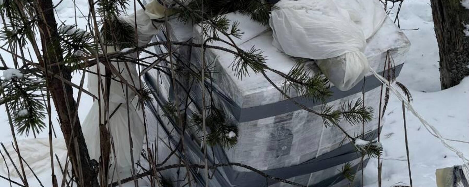 Контрабанда сигарет в Литве - Sputnik Литва, 1920, 13.02.2026