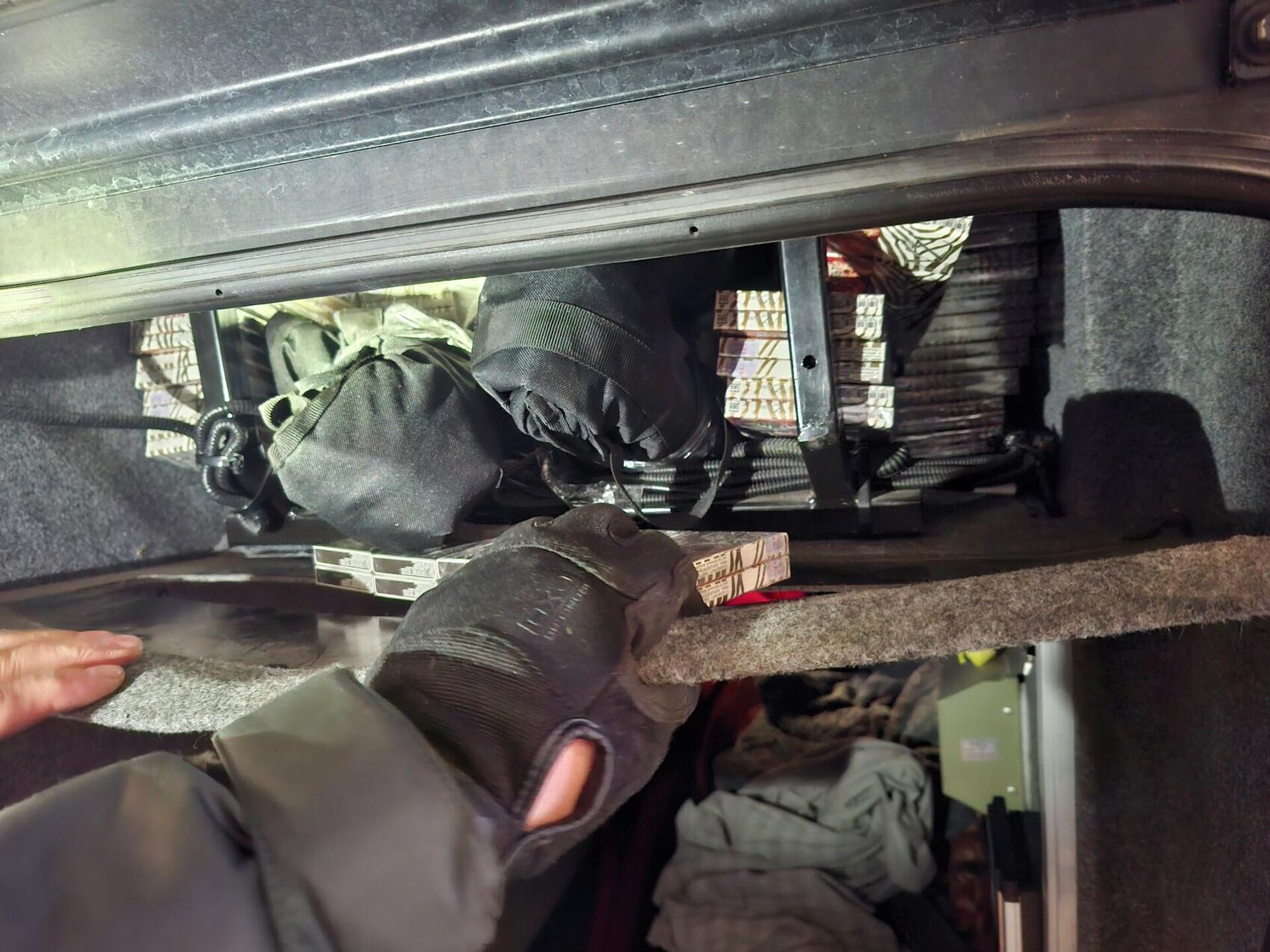 Контрабанда сигарет из Белоруссии - Sputnik Литва, 1920, 13.02.2026