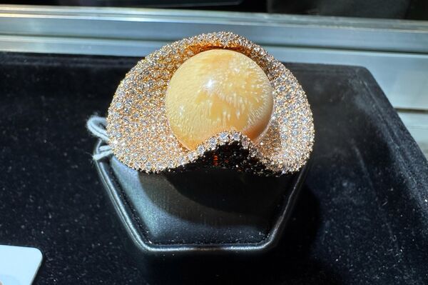 На выставке посетители могли увидеть как классические изделия из балтийского янтаря, так и экспериментальные работы, в которых янтарь сочетается с золотом, серебром, титаном или даже неожиданными материалами. - Sputnik Литва