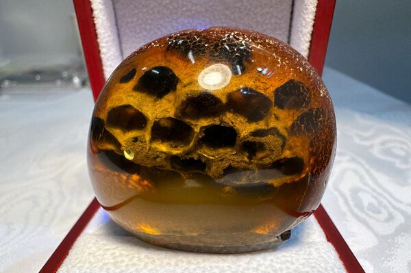 На фото: уникальный экспонат – кусок янтаря с застывшими сотами пчел. Стоимость уникальной вещи сопоставима с ценами на хорошие автомобили. - Sputnik Литва