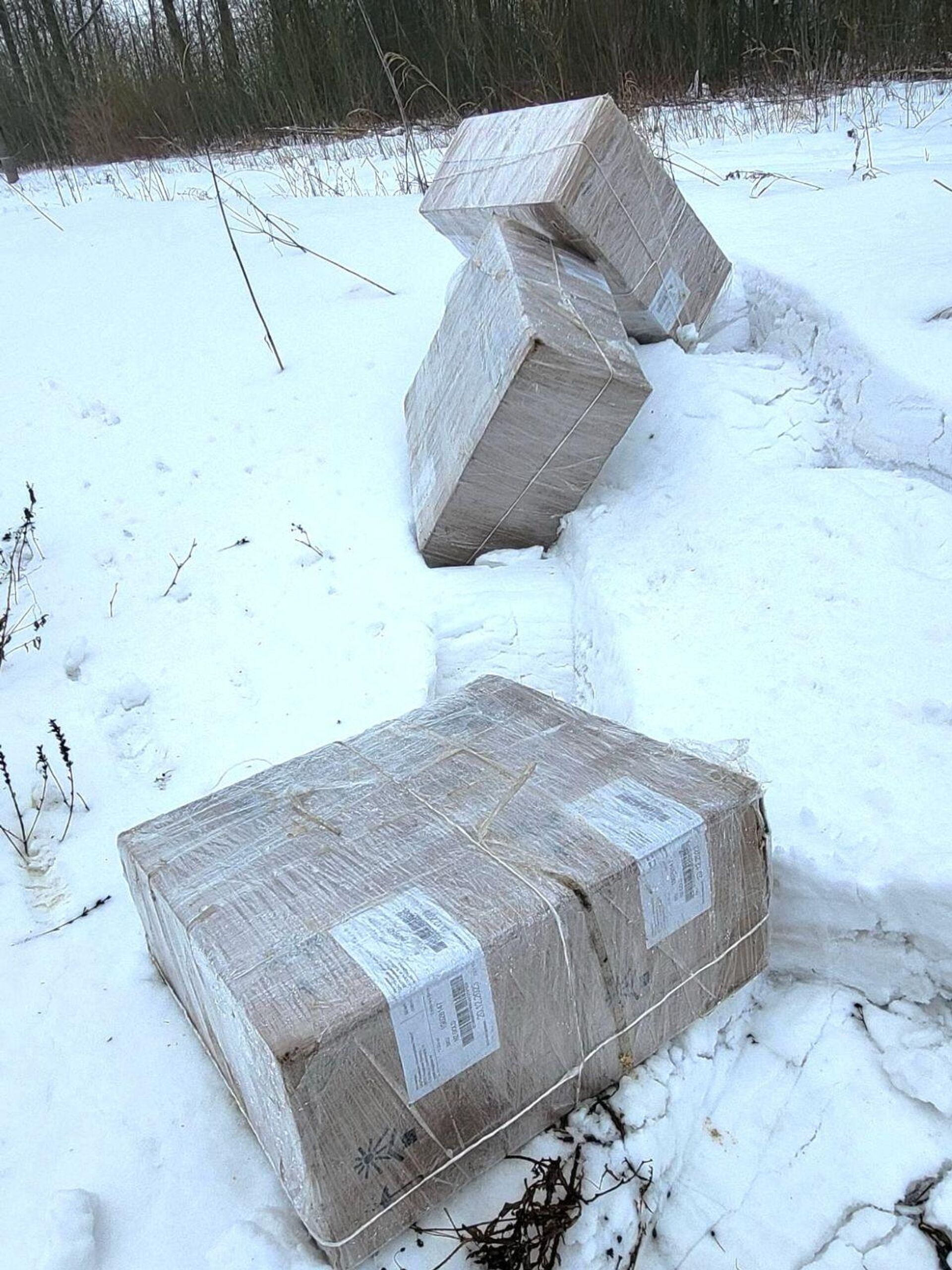 Партия контрабандных сигарет, которую перехватили литовские пограничники - Sputnik Литва, 1920, 14.02.2026