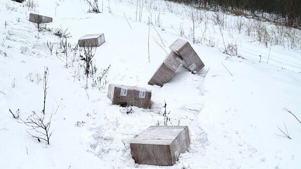 Партия контрабандных сигарет, которую перехватили литовские пограничники - Sputnik Литва