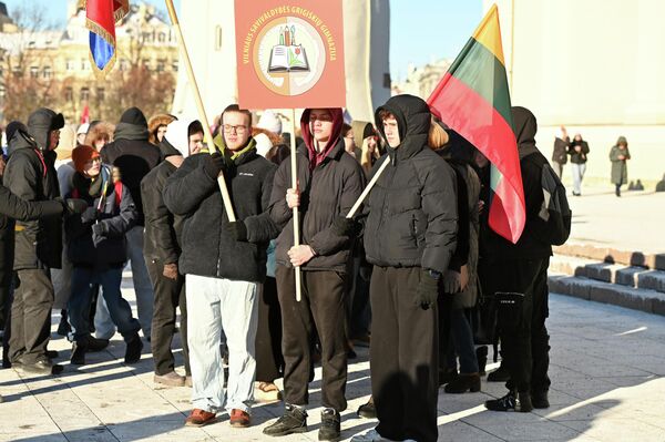 Участники шествия несли флаги Литвы и своих школ. - Sputnik Литва