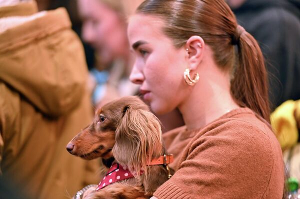 Пока милые питомцы готовились к старту, их хозяева волновались едва ли не больше самих участников. - Sputnik Литва