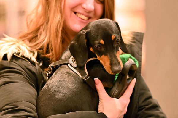 В День всех влюбленных четвероногие друзья устроили праздник для зрителей. - Sputnik Литва