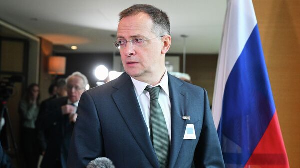 Помощник президента РФ Владимир Мединский  - Sputnik Литва