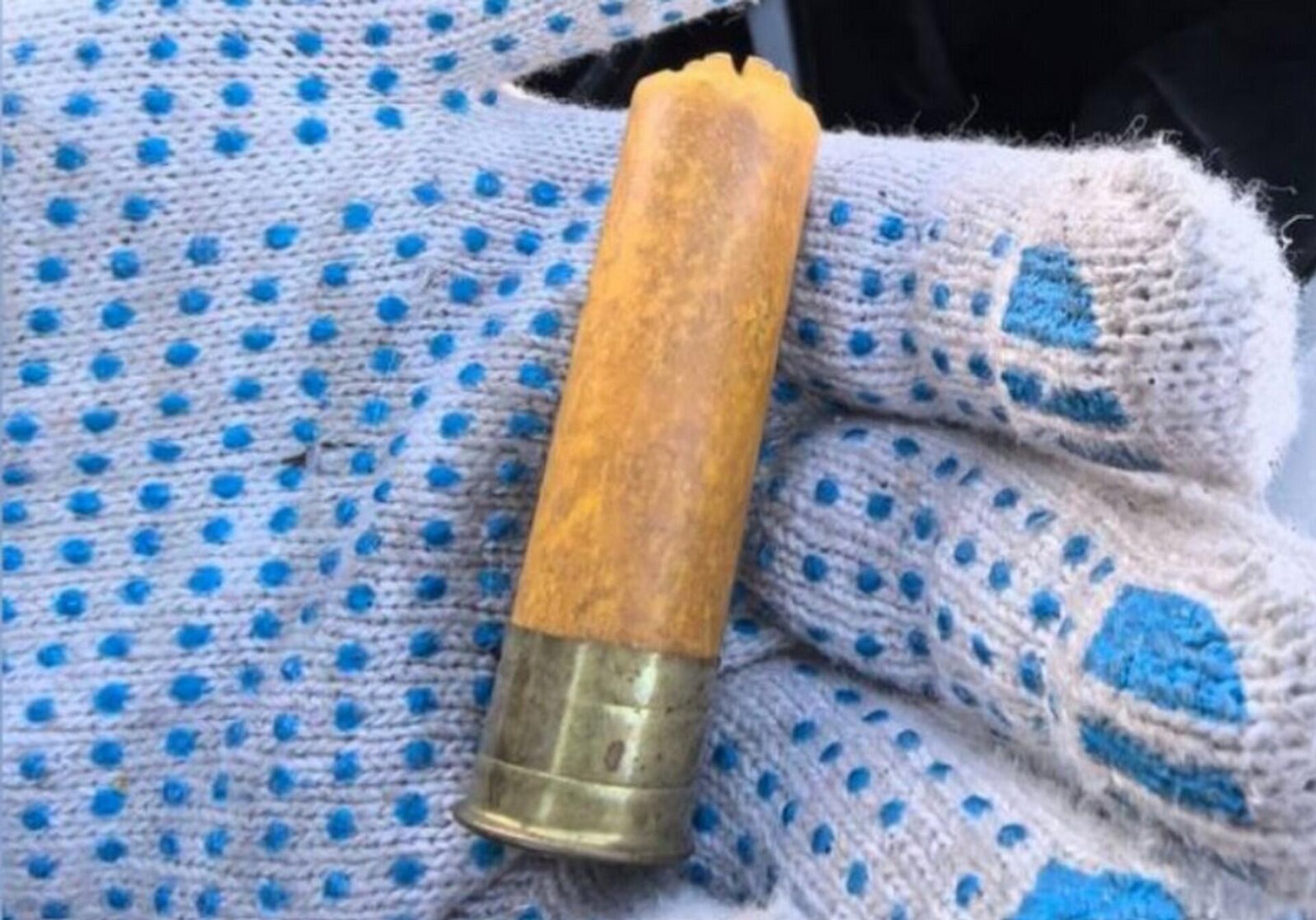 Таможня Белоруссии обнаружила боевые патроны в авто, ввезенном из Литвы  - Sputnik Литва, 1920, 19.02.2026