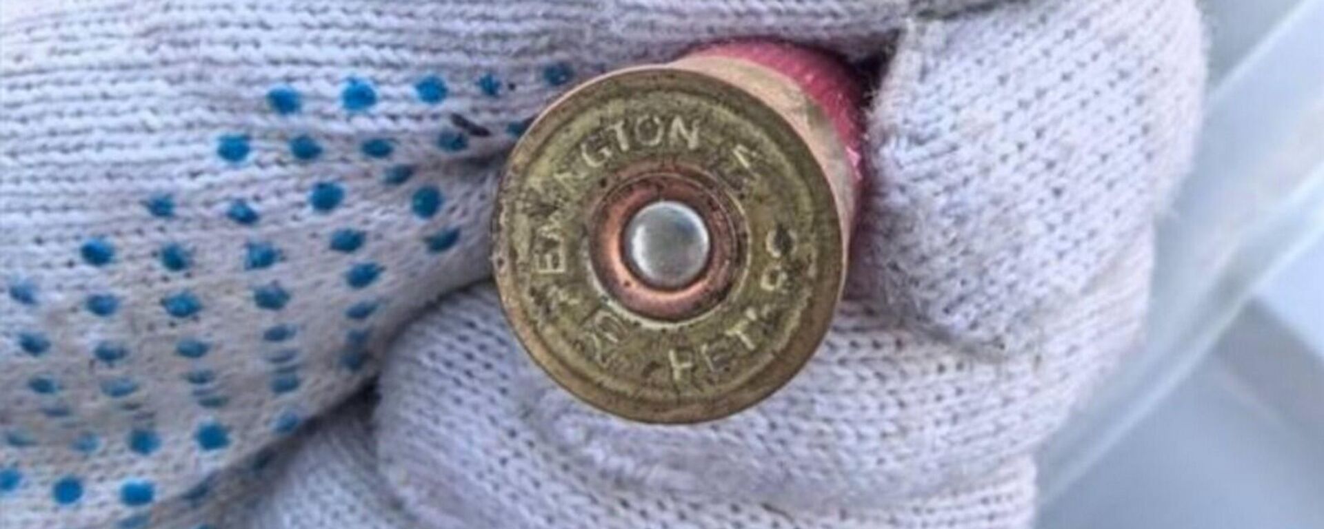 Таможня Белоруссии обнаружила боевые патроны в авто, ввезенном из Литвы  - Sputnik Литва, 1920, 19.02.2026