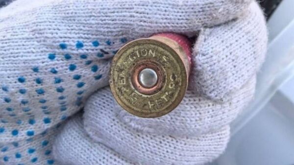 Таможня Белоруссии обнаружила боевые патроны в авто, ввезенном из Литвы  - Sputnik Литва