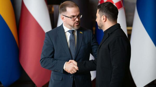 Министр обороны Литвы Робертас Каунас и Владимир Зеленский - Sputnik Литва