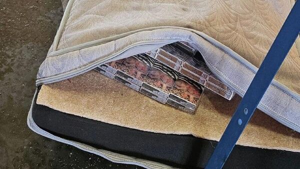 Таможня Литвы в фуре из Беларуси обнаружила матрас, набитый сигаретами - Sputnik Литва