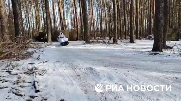 Мотособаки помогают ВС РФ доставлять грузы и эвакуировать бойцов в Харьковской области - Sputnik Литва