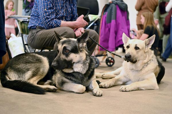 Мероприятие привлекло участников из самых разных стран, поэтому конкуренция на рингах была огромная. - Sputnik Литва