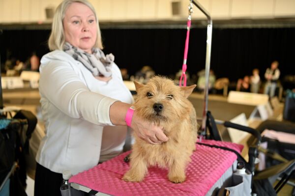 Посетители выставки могли лично пообщаться со специалистами по уходу за животными. - Sputnik Литва