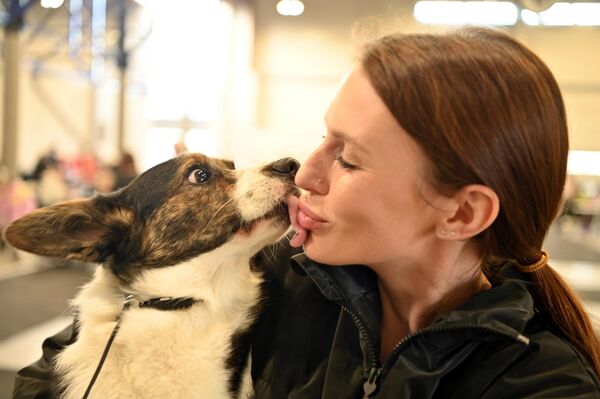 На фото: участница со своим питомцем на международной выставке собак в Вильнюсе. - Sputnik Литва