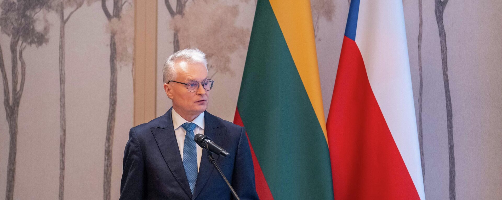 Президент Литвы Гитанас Науседа - Sputnik Литва, 1920, 13.03.2026