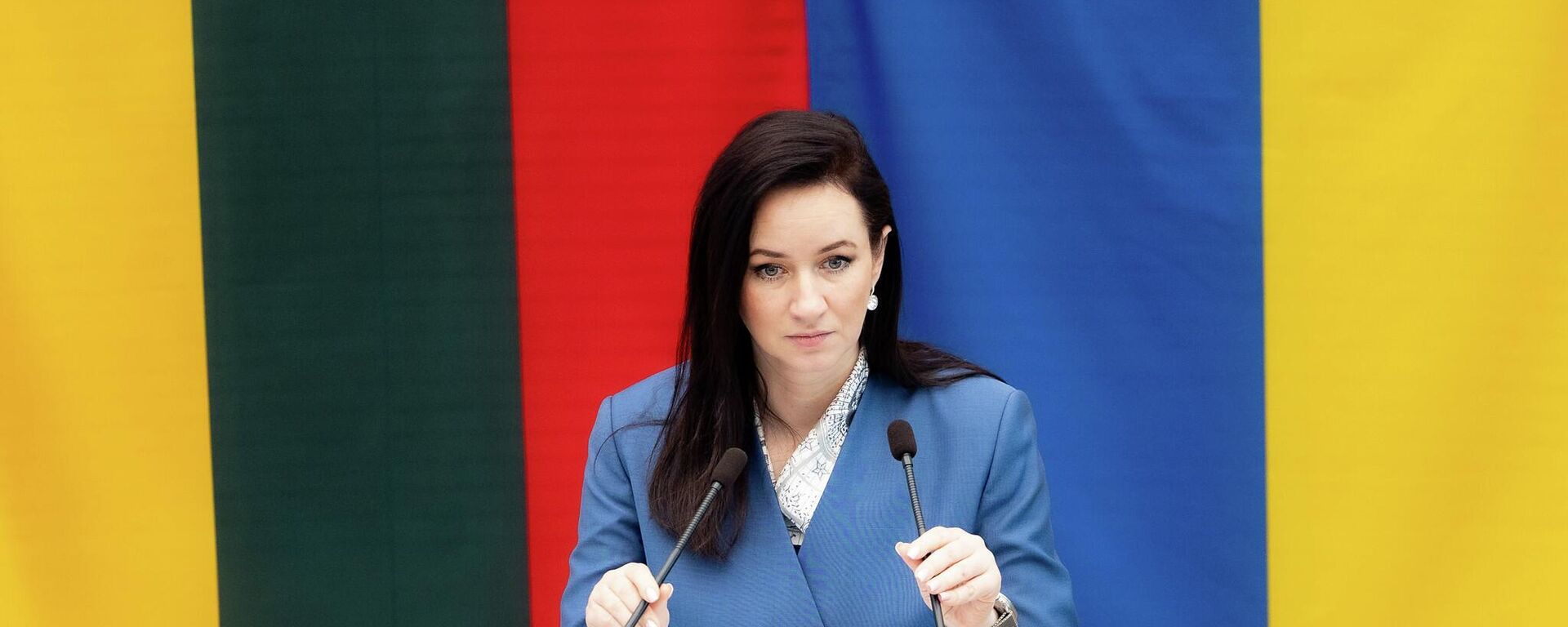 Премьер-министр Литвы Инга Ругинене, архивное фото - Sputnik Литва, 1920, 01.04.2026