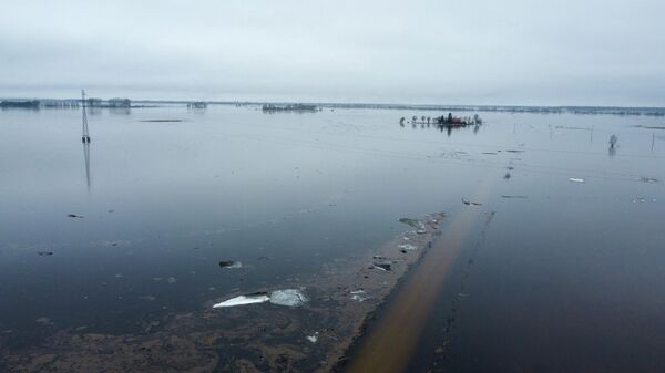 Наводнение в Литве - Sputnik Литва