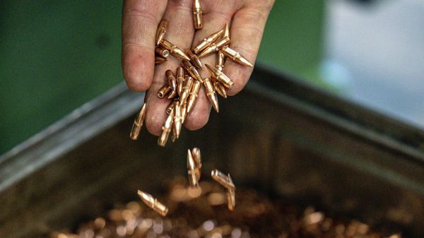 Пули, архивное фото - Sputnik Литва