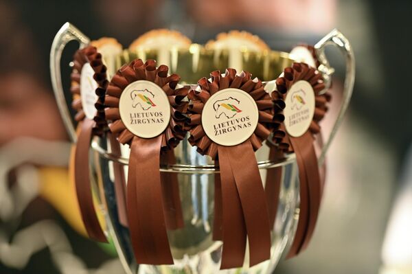 Программа включала соревнования тяжеловесов - першеронов, шайров, литовских тяжеловозов. - Sputnik Литва