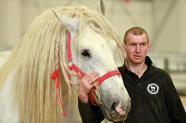 Гости выставки могли получить основную информацию о самых разных лошадях. - Sputnik Литва