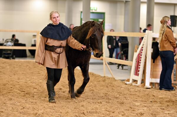 Гости выставки смогли увидеть рыцарские представления с демонстрацией владения копьем и мечом, стрельбу по мишеням и другие элементы средневековых турниров. - Sputnik Литва