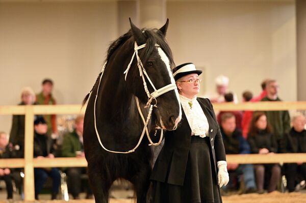 На фото: участники конной выставка  Žirgų Grand Show - 2026. - Sputnik Литва