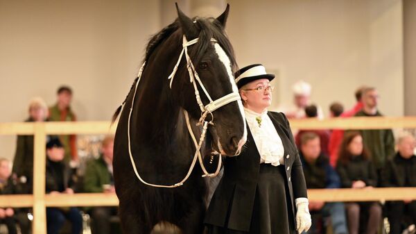 Конная выставка  Žirgų Grand Show - 2026 в Вильнюсе - Sputnik Литва