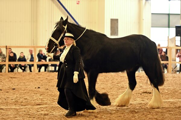 На фото: участники конной выставка  Žirgų Grand Show - 2026. - Sputnik Литва