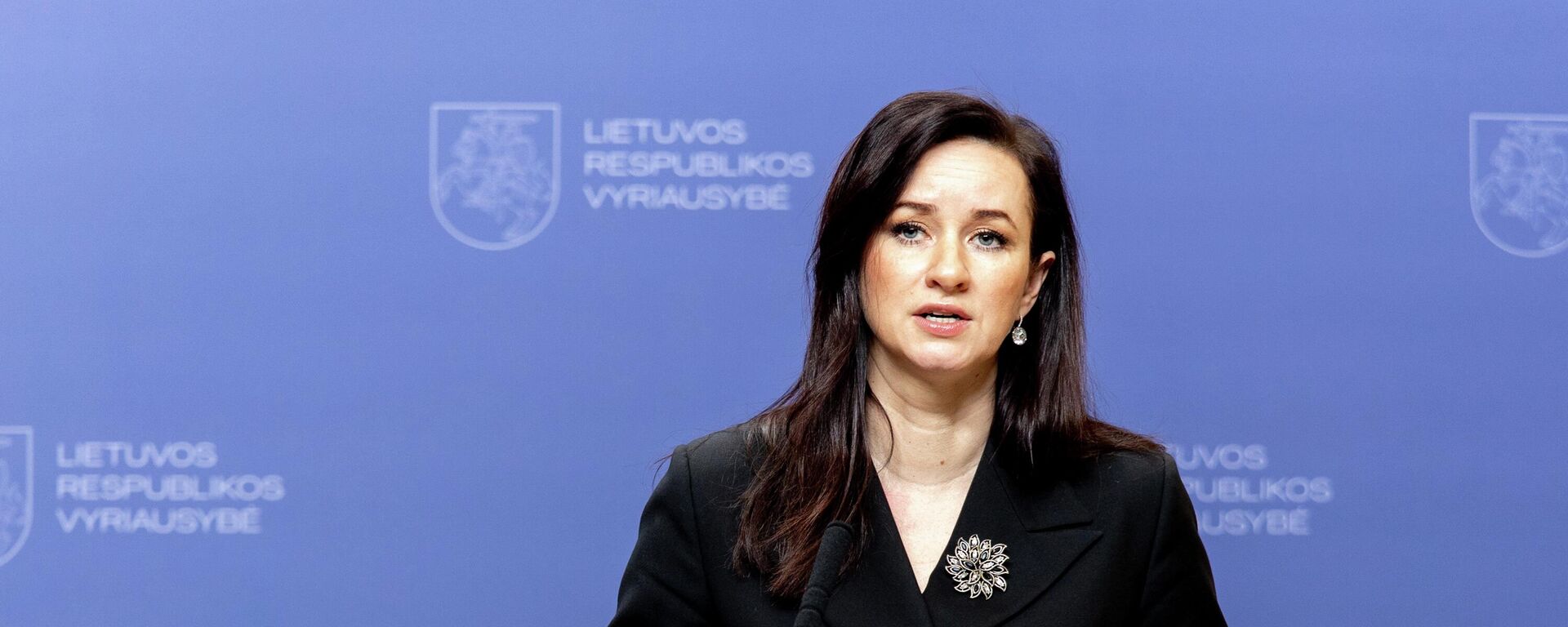 Премьер-министр Литвы Инга Ругинене - Sputnik Литва, 1920, 24.03.2026
